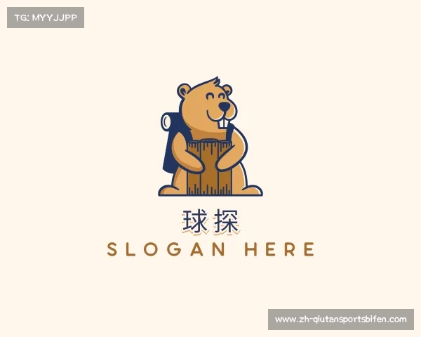 了解球探